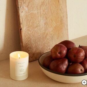 NWT Jenni Kayne Cedar 10oz Wax Candle